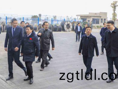 副市(shi)長賀輝(hui)及各部(bu)門領導蒞臨(lin)調(diao)研園(yuan)區(qu)企(qi)業髮展情況(kuang)