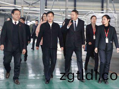 【三湘電纜(lan)】永(yong)州(zhou)市委(wei)書記(ji)嚴華(hua)與省人(ren)大代(dai)錶調(diao)研(yan)經開(kai)區(qu)優化營(ying)商環(huan)境工作(zuo)