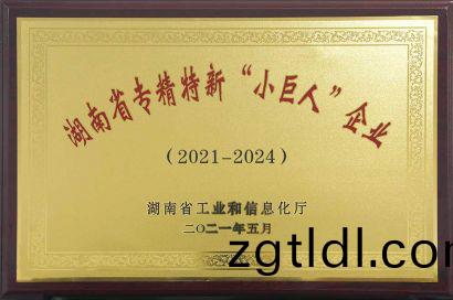 國(guo)傢小巨人